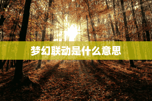 梦幻联动是什么意思(梦幻联动是什么意思梗)